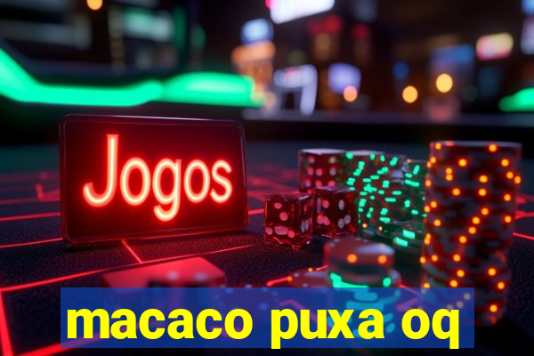 macaco puxa oq